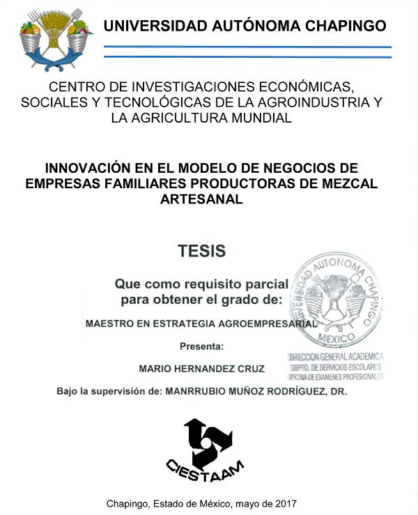 Innovación en el modelo de negocios de empresas familiares productoras de  mezcal artesanal